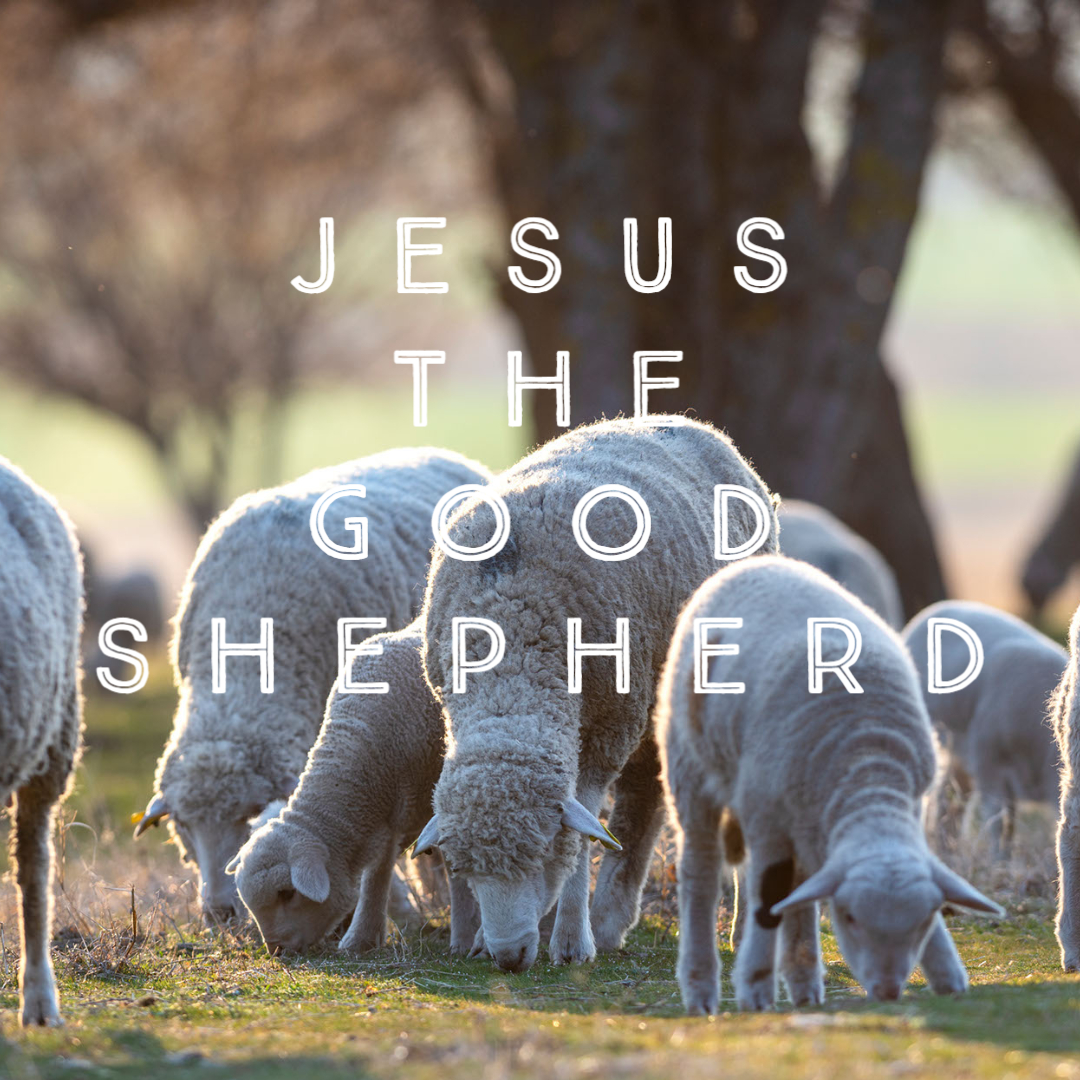 Jesus the Good Shepherd – Faith Christian Outreach Center